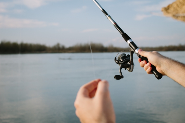 ワームで魚釣り カサゴ メバル アジ向けのワームおすすめ5選を紹介 特徴や使い方も 釣りメディアgyogyo