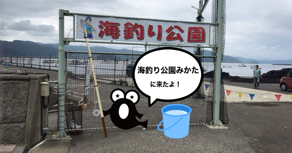 福井県 海釣り公園みかたに行ってみた ファミリ コースは釣り放題 釣った魚はバーベキュー 釣りメディアgyogyo