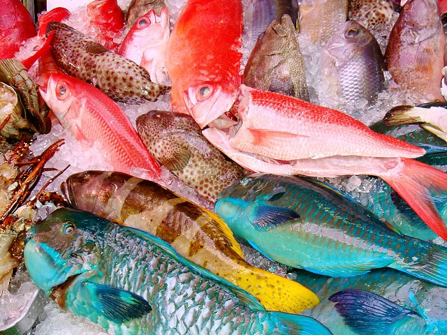 まだ見ぬ魚たち この夏は沖縄で釣りを楽しもう 釣りメディアgyogyo