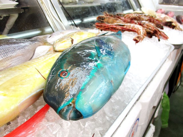 まだ見ぬ魚たち この夏は沖縄で釣りを楽しもう 釣りメディアgyogyo