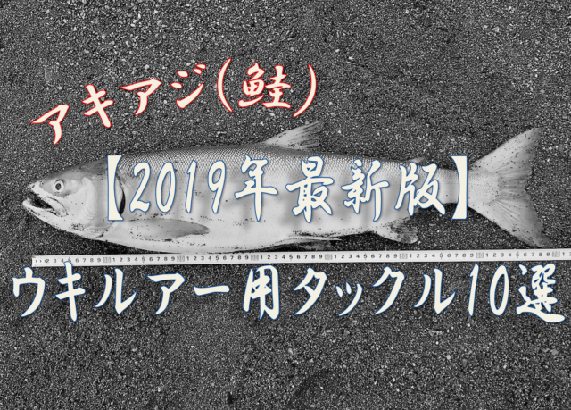 北海道 鮭 釣り 2019