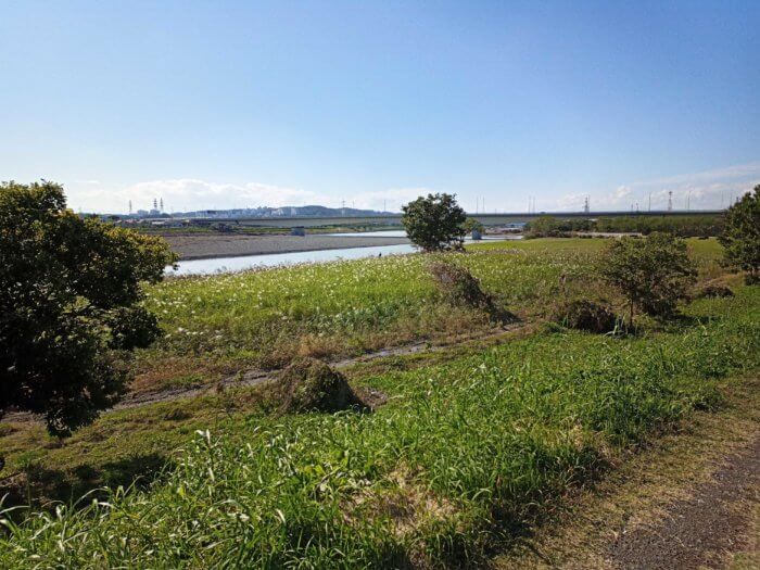 台風後の多摩川の状況まとめパート1 立川立日橋 府中市稲城大橋編 ページ 4 釣りメディアgyogyo