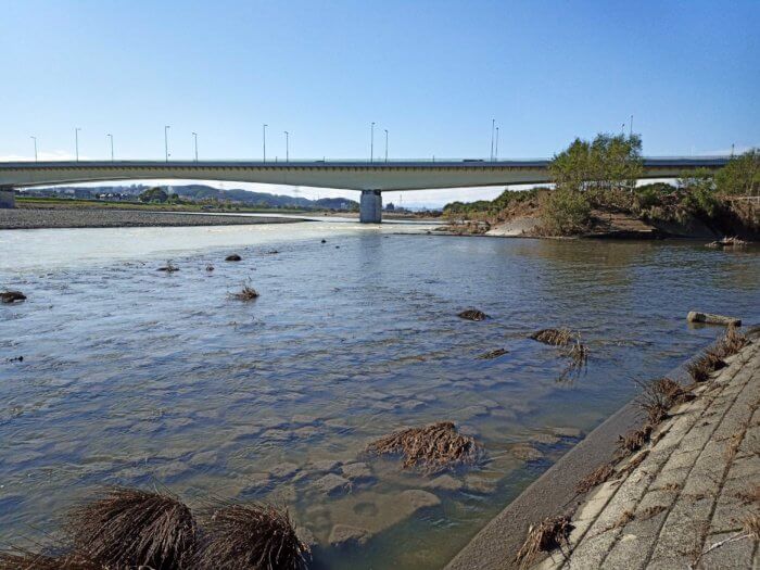 台風後の多摩川の状況まとめパート1 立川立日橋 府中市稲城大橋編 ページ 4 釣りメディアgyogyo