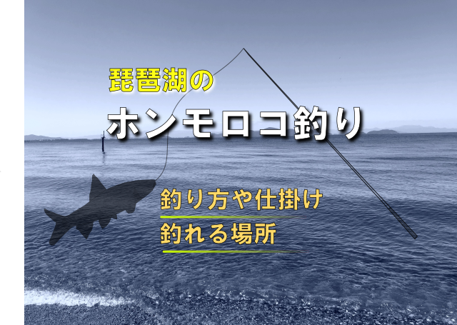 春が待ち遠しい 琵琶湖で旬のホンモロコ釣りを満喫しよう 釣りメディアgyogyo