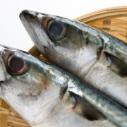 美味しい淡水魚 春が旬のホンモロコの特徴や生態 おすすめの調理法とは 釣りメディアgyogyo