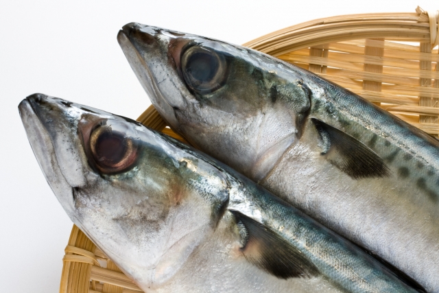 身近な魚に潜む危険性 ヒスタミン中毒の原因や症状 対処法をご紹介 釣りメディアgyogyo