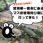 親子で釣りに出掛けよう 北海道で大自然を満喫 札幌日帰り圏内 ページ 2 釣りメディアgyogyo