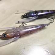 汎用性抜群 アンモナイトシャッドの使い方とおすすめリグを解説 ページ 2 釣りメディアgyogyo