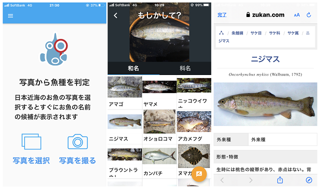 年最新版 釣りに最適 おすすめスマホアプリ12選 釣りメディアgyogyo