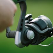 カゴ釣り楽しむならやっぱり両軸タックル ダイワのインプレッサを使ってカゴ釣りを楽しもう 釣りメディアgyogyo