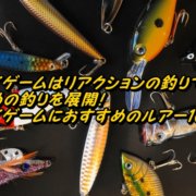 汎用性抜群 アンモナイトシャッドの使い方とおすすめリグを解説 ページ 2 釣りメディアgyogyo