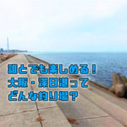 関東の川はシーバス激戦区 爆釣ポイントを紹介 釣りメディアgyogyo