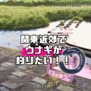 うなぎ釣りはシンプル仕掛けで狙える 夜釣りにおすすめなうなぎ釣りについて紹介 釣りメディアgyogyo