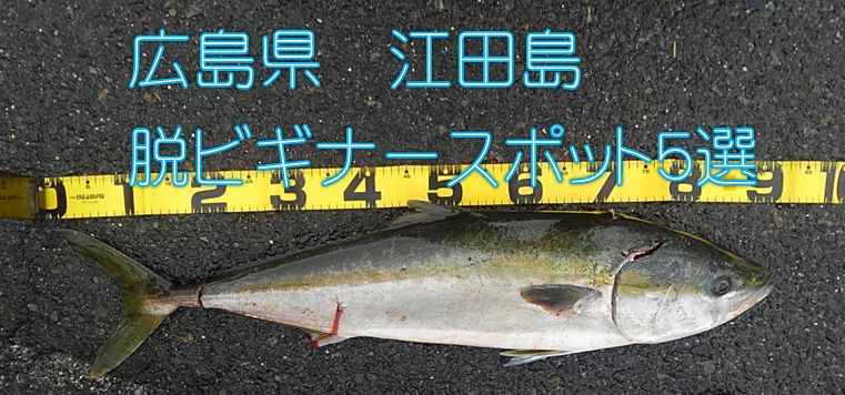 広島県江田島でおすすめの釣りポイント5選 釣りメディアgyogyo