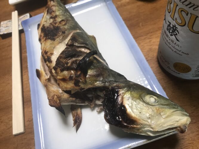 釣った魚は美味しく調理しよう お酒に合う最高の調理法を3つ紹介 塩焼き 紅葉おろし 昆布締め 釣りメディアgyogyo