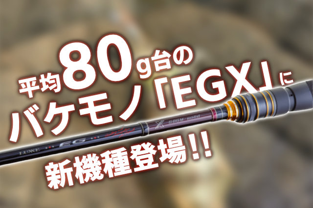 超美品 ラグゼEGX86ML