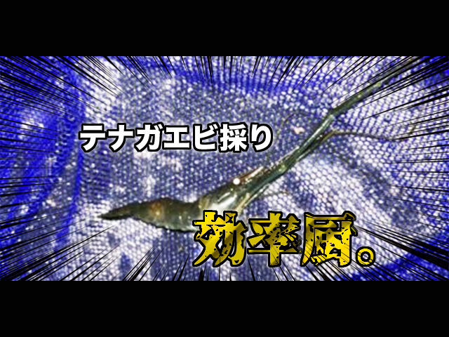 夜の護岸沿いはテナガエビの宝庫 効率良くテナガエビ を捕獲できる方法について解説 釣りメディアgyogyo