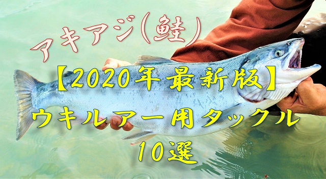 2020年最新版】絶対に釣りたいアキアジ （鮭）！そんなあなたにオススメのウキルアー用タックル10選！ – 釣りメディアGyoGyo