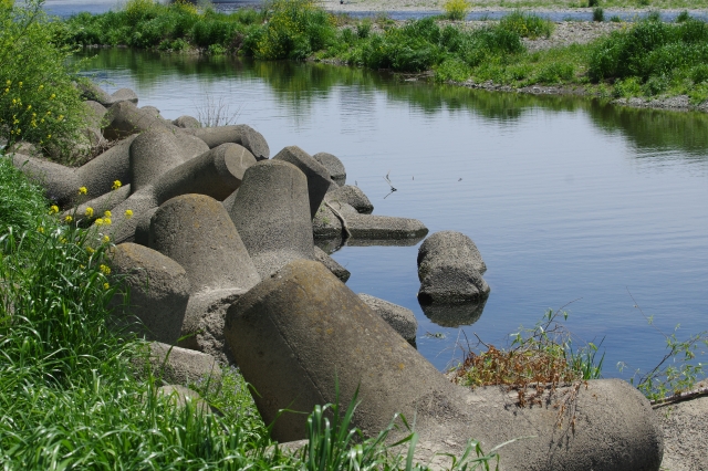 消波ブロック テトラポッド 川