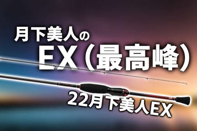 最大95%OFFクーポン ダイワ 22モデル 月下美人EX 66L-S.Q 凛 RIN